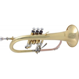 Флюгельгорн Conn-Selmer FH600, image 